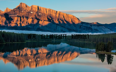 春天, 岛上桃花盛开, 如梦如幻