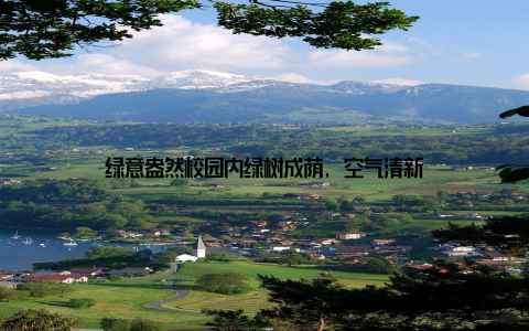 绿意盎然校园内绿树成荫, 空气清新