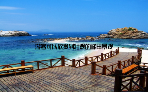 游客可以欣赏到壮观的梯田景观