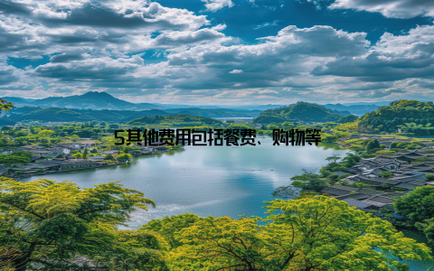 5其他费用包括餐费、购物等