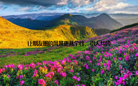 让朋友圈的风景更具个性, 引人共鸣